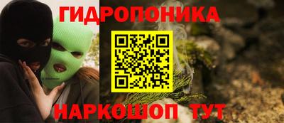 a pvp Гусь-Хрустальный