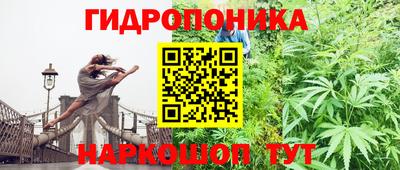 гашик Гусев