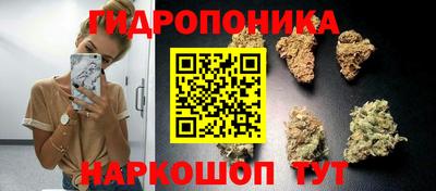 гашик Гусев