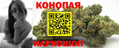 a pvp Гусь-Хрустальный