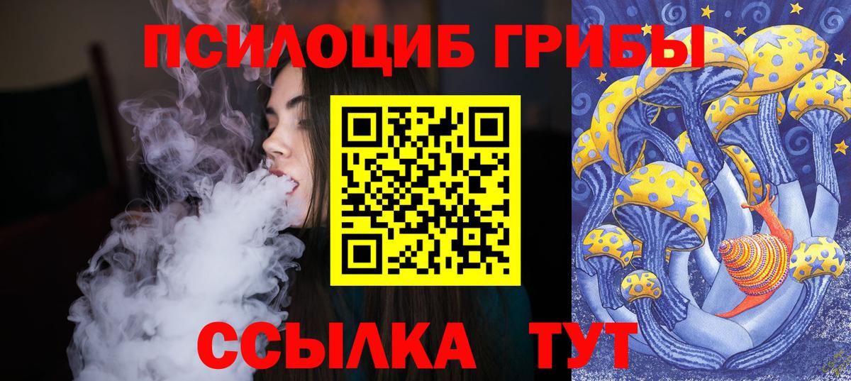 Псилоцибиновые грибы Psilocybine cubensis Семёнов