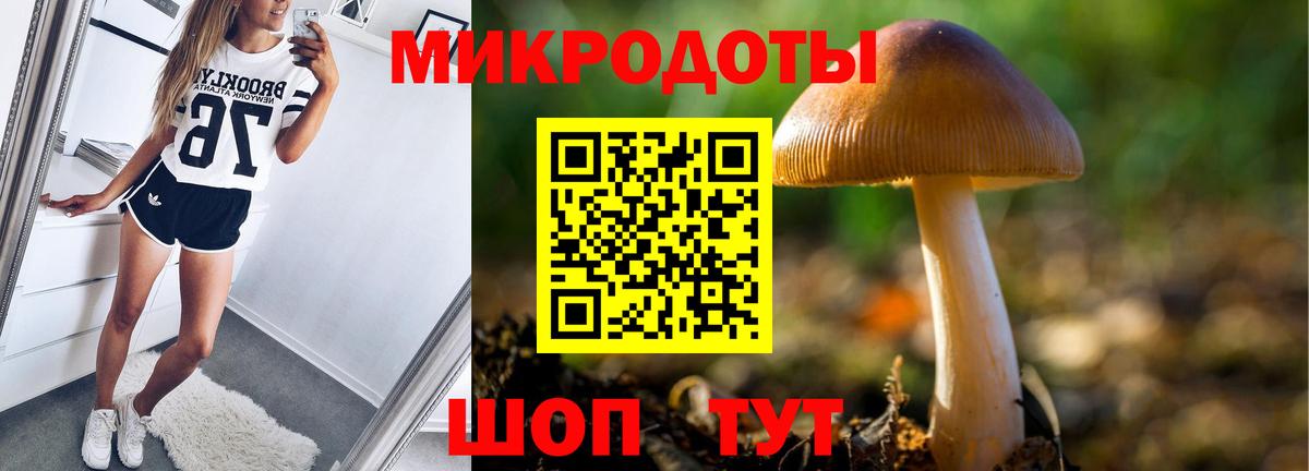 Семёнов  Галлюциногенные грибы ЛСД  Вход с VPN 