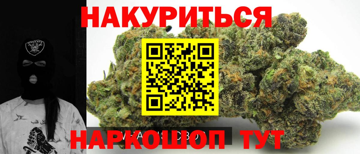 Канабис OG Kush Семёнов